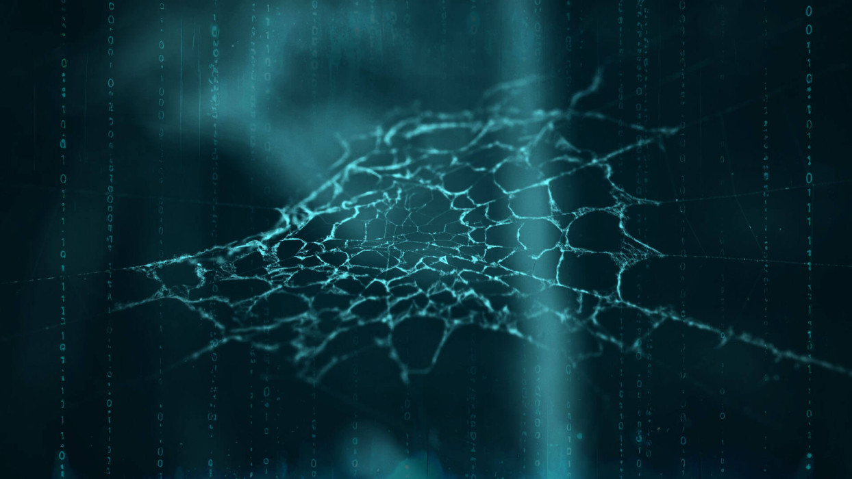 Your personal information is on the dark web. What happens next?