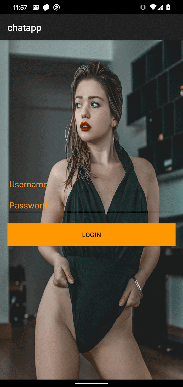 Figure 3. GhostChat’s login screen